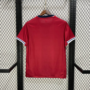 #10 ﾃ賄egaard Norway Home Jersey 2024/2025