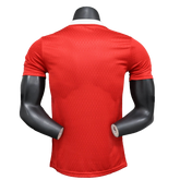 Arsenal 25/26 Pre-Match Jersey - Red - Player Version